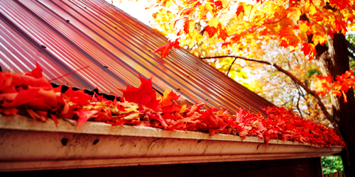 Gutter Cleaning Services